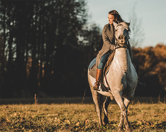 Can I Ride A Horse With A Herniated Disc: Safety and Precautions - The ...